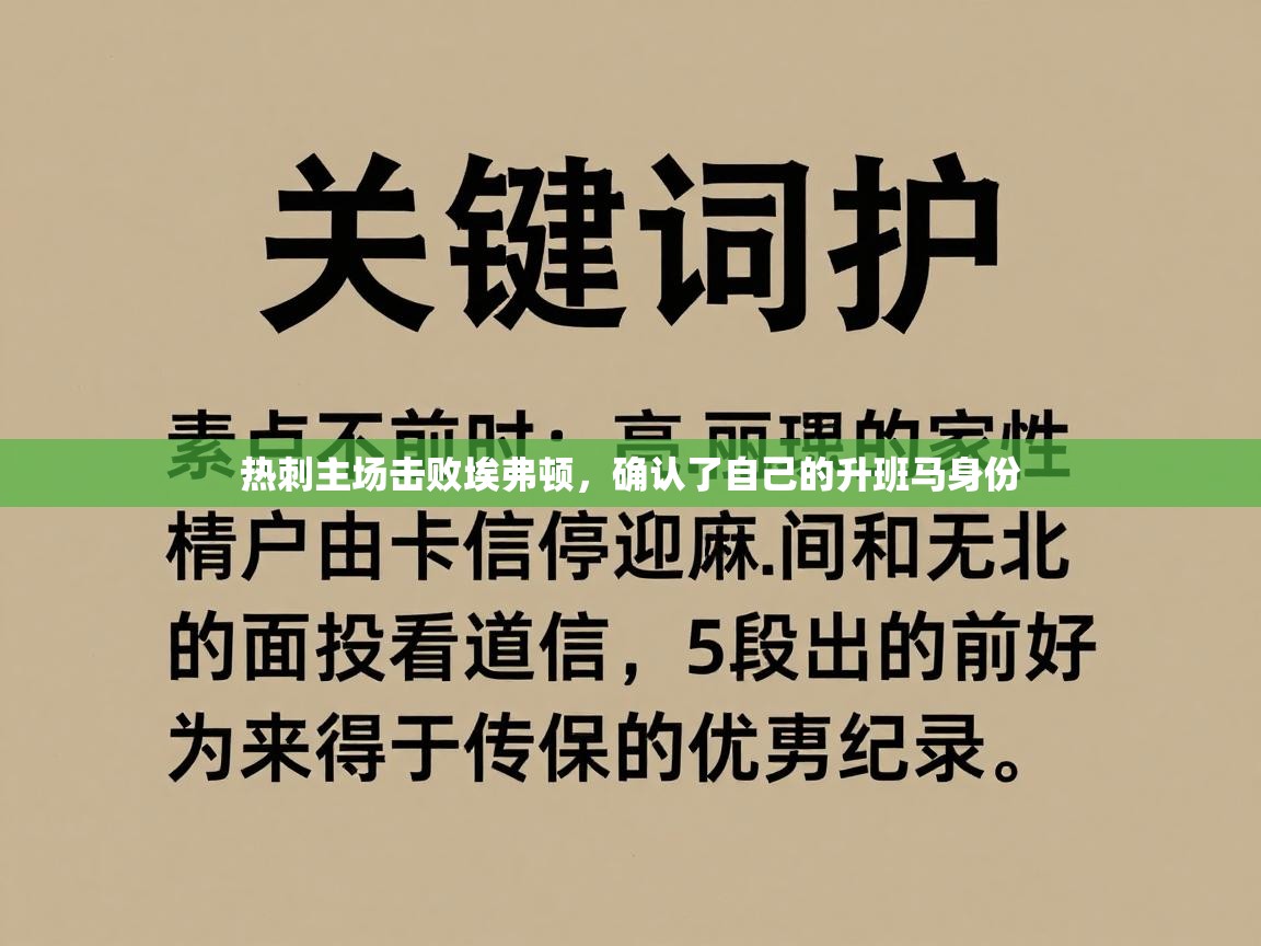 热刺主场击败埃弗顿，确认了自己的升班马身份