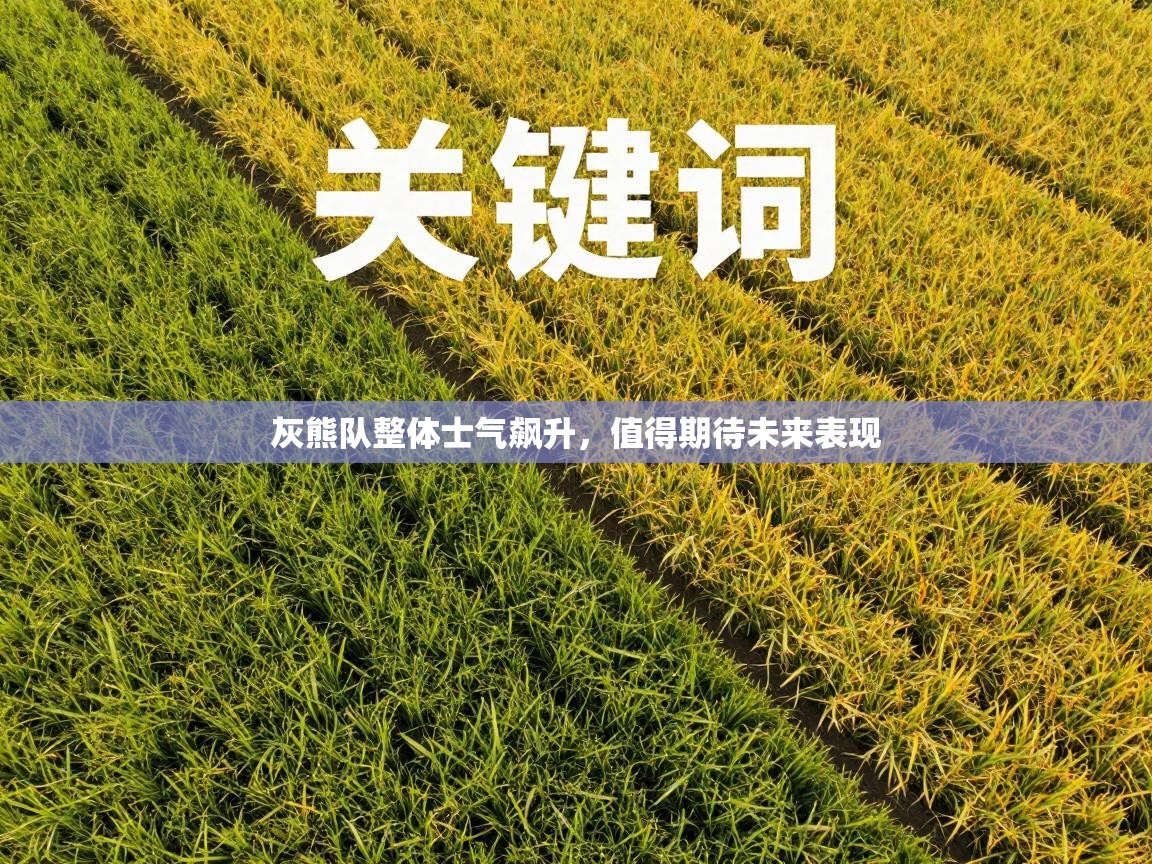 灰熊队整体士气飙升，值得期待未来表现  第2张